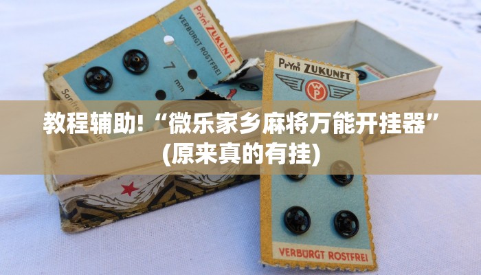 教程辅助!“微乐家乡麻将万能开挂器”(原来真的有挂)