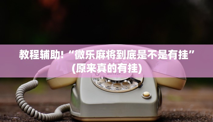 教程辅助!“微乐麻将到底是不是有挂”(原来真的有挂)