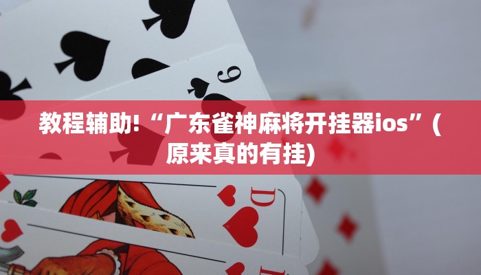 教程辅助!“广东雀神麻将开挂器ios”(原来真的有挂)