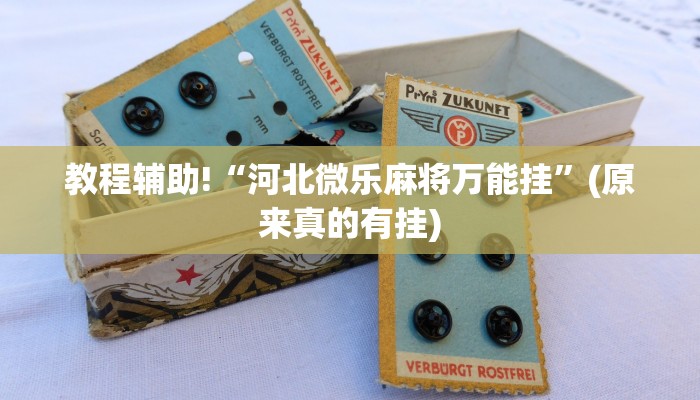 教程辅助!“河北微乐麻将万能挂”(原来真的有挂)