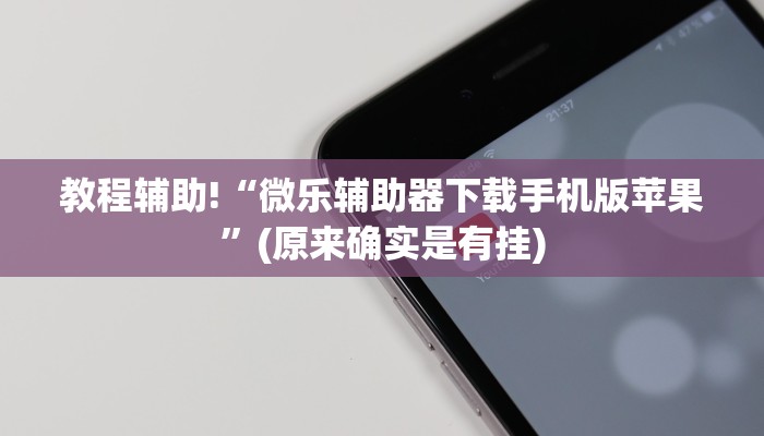 教程辅助!“微乐辅助器下载手机版苹果”(原来确实是有挂)