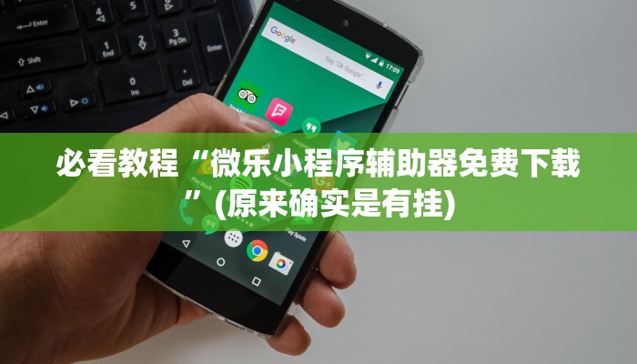 必看教程“微乐小程序辅助器免费下载”(原来确实是有挂)