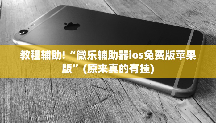 教程辅助!“微乐辅助器ios免费版苹果版”(原来真的有挂)
