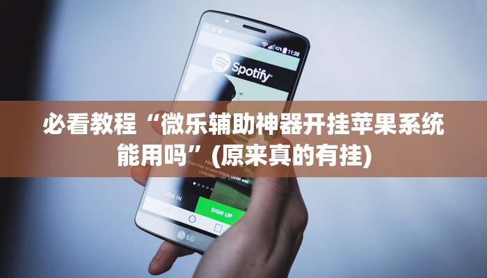 必看教程“微乐辅助神器开挂苹果系统能用吗”(原来真的有挂)