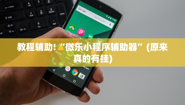 教程辅助!“微乐小程序辅助器”(原来真的有挂)