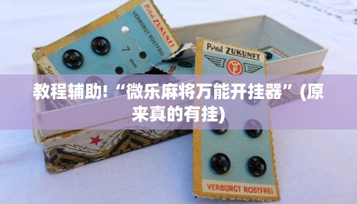 教程辅助!“微乐麻将万能开挂器”(原来真的有挂)