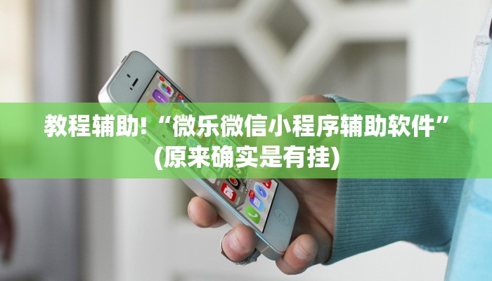 教程辅助!“微乐微信小程序辅助软件”(原来确实是有挂)