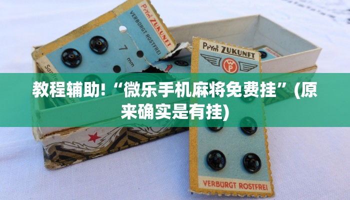 教程辅助!“微乐手机麻将免费挂”(原来确实是有挂)