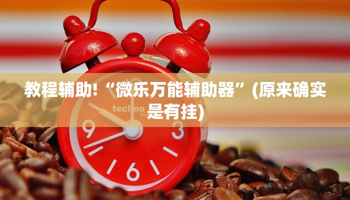 教程辅助!“微乐万能辅助器”(原来确实是有挂)