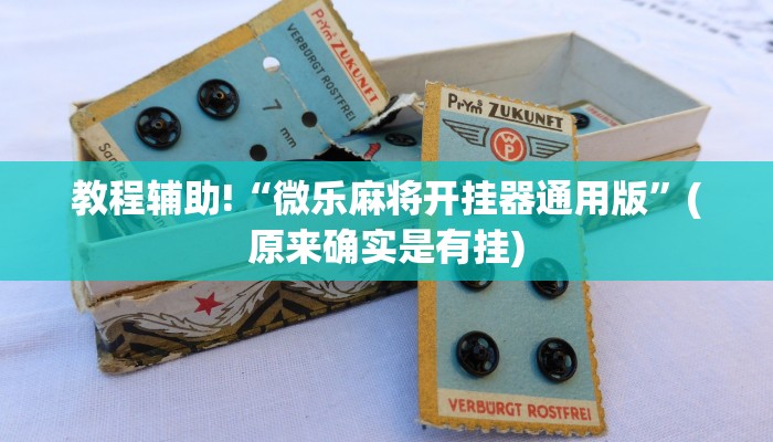 教程辅助!“微乐麻将开挂器通用版”(原来确实是有挂)