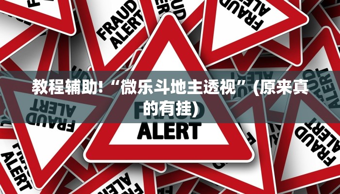教程辅助!“微乐斗地主透视”(原来真的有挂)