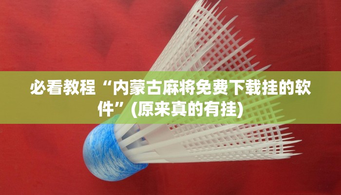 必看教程“内蒙古麻将免费下载挂的软件”(原来真的有挂)