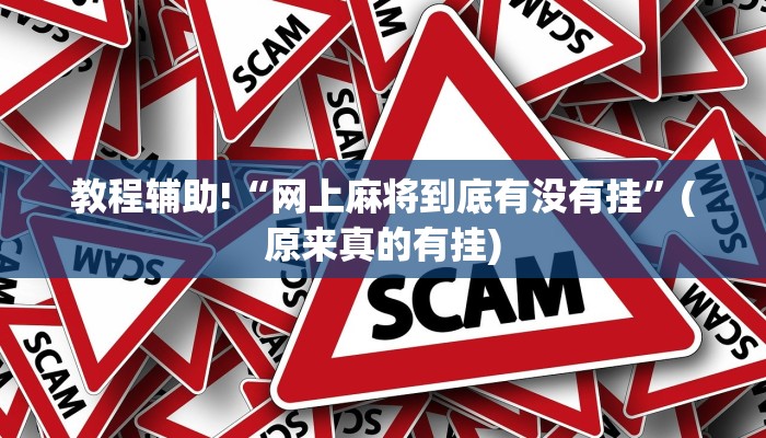教程辅助!“网上麻将到底有没有挂”(原来真的有挂)