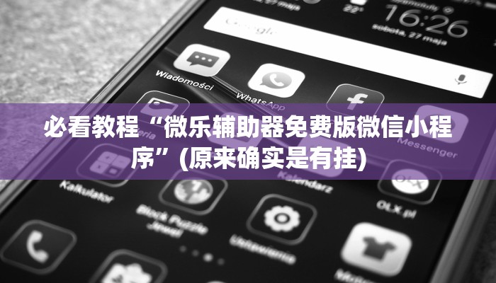 必看教程“微乐辅助器免费版微信小程序”(原来确实是有挂)