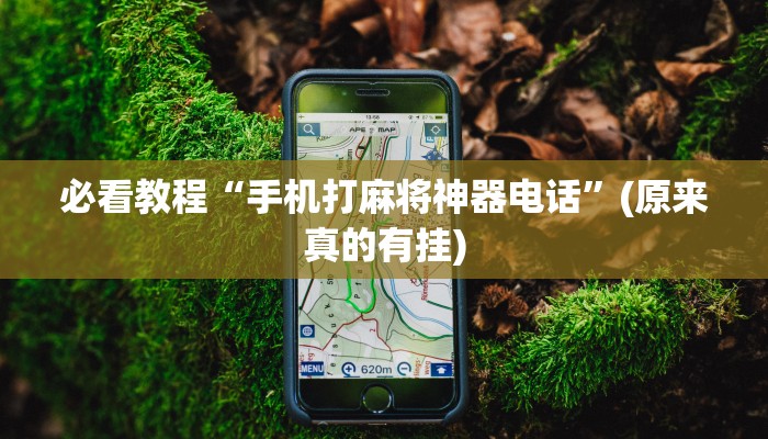 必看教程“手机打麻将神器电话”(原来真的有挂)