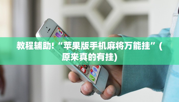 教程辅助!“苹果版手机麻将万能挂”(原来真的有挂)
