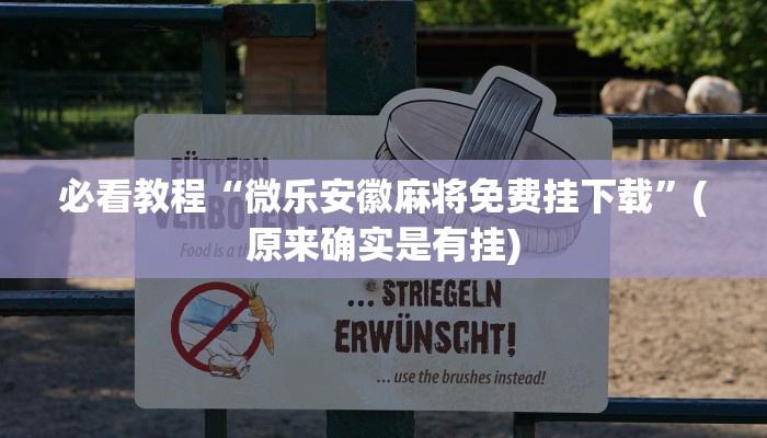 必看教程“微乐安徽麻将免费挂下载”(原来确实是有挂)