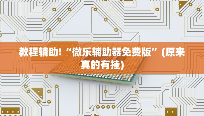 教程辅助!“微乐辅助器免费版”(原来真的有挂)