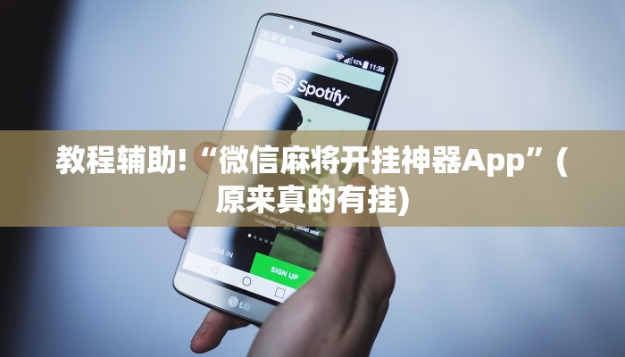 辅助神器“战皇大厅怎么透视”(原来确实是有挂)