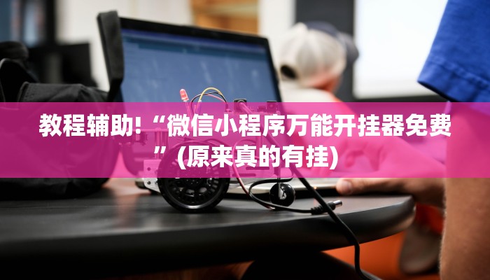 教程辅助!“微信小程序万能开挂器免费”(原来真的有挂)