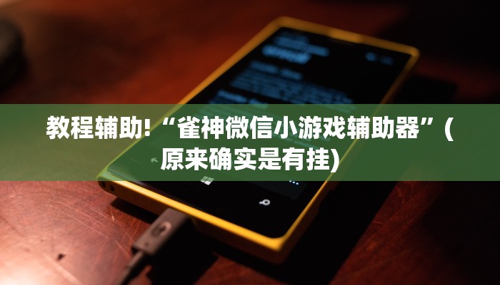 教程辅助!“雀神微信小游戏辅助器”(原来确实是有挂)