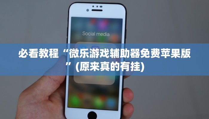 必看教程“微乐游戏辅助器免费苹果版”(原来真的有挂)