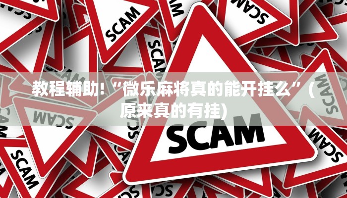 教程辅助!“微乐麻将真的能开挂么”(原来真的有挂)