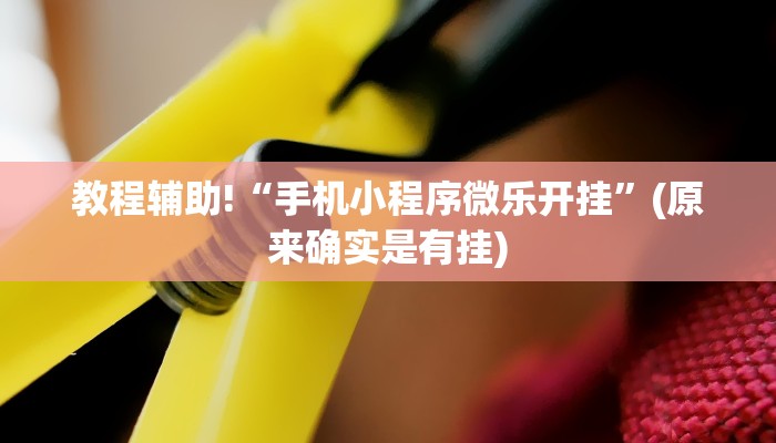 教程辅助!“手机小程序微乐开挂”(原来确实是有挂)