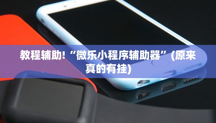 教程辅助!“微乐小程序辅助器”(原来真的有挂)