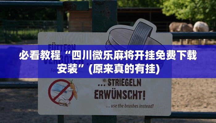 必看教程“四川微乐麻将开挂免费下载安装”(原来真的有挂)