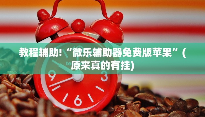 教程辅助!“微乐辅助器免费版苹果”(原来真的有挂)