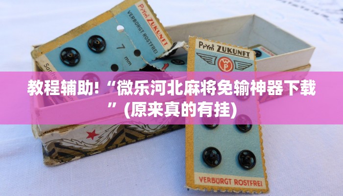 教程辅助!“微乐河北麻将免输神器下载”(原来真的有挂)