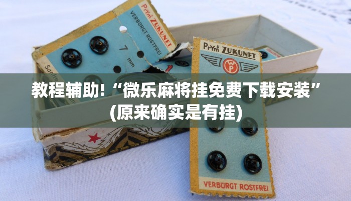 教程辅助!“微乐麻将挂免费下载安装”(原来确实是有挂)