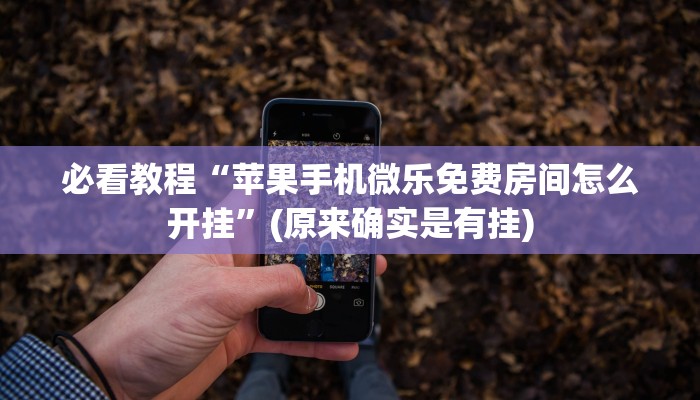 必看教程“苹果手机微乐免费房间怎么开挂”(原来确实是有挂)