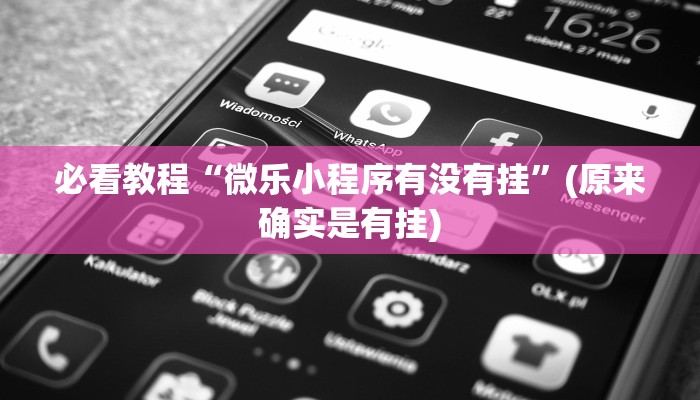 必看教程“微乐小程序有没有挂”(原来确实是有挂)