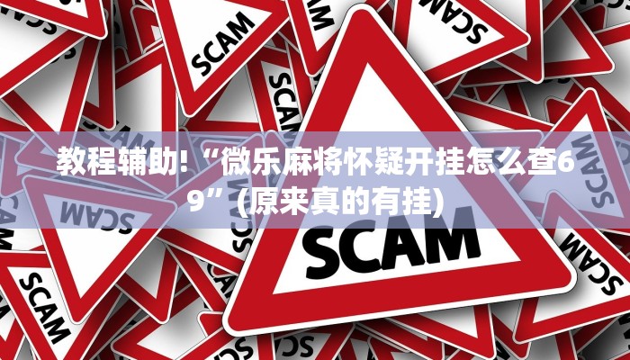 教程辅助!“微乐麻将怀疑开挂怎么查69”(原来真的有挂)