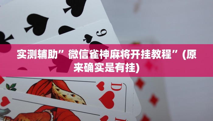 辅助开挂工具“微乐麻将开挂版本软件”(原来确实是有挂)
