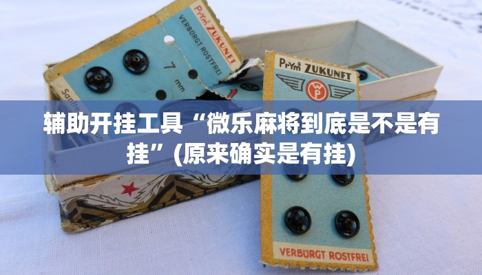 辅助开挂工具“微乐麻将到底是不是有挂”(原来确实是有挂)