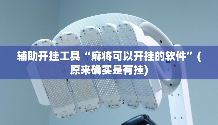 辅助开挂工具“麻将可以开挂的软件”(原来确实是有挂)