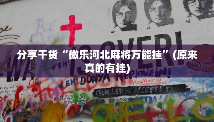 分享干货“微乐河北麻将万能挂”(原来真的有挂)