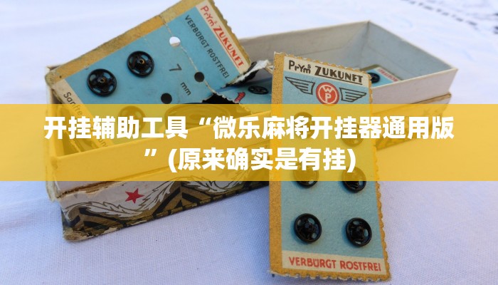 开挂辅助工具“微乐麻将开挂器通用版”(原来确实是有挂)