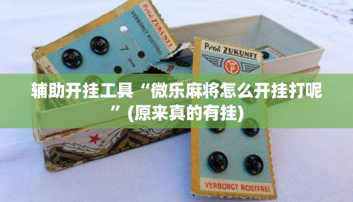 辅助开挂工具“微乐麻将怎么开挂打呢”(原来真的有挂)