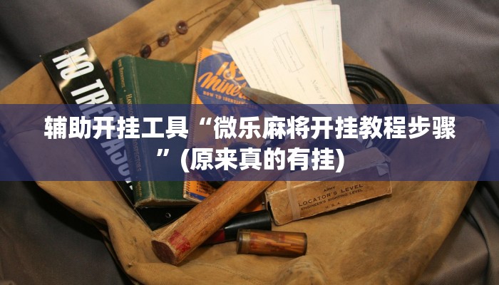 实测辅助”微乐辅助神器开挂下载”(原来确实是有挂)