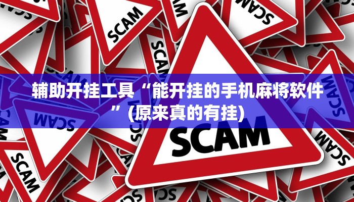 辅助开挂工具“能开挂的手机麻将软件”(原来真的有挂)
