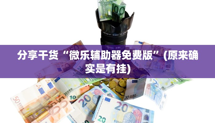 分享干货“微乐辅助器免费版”(原来确实是有挂)