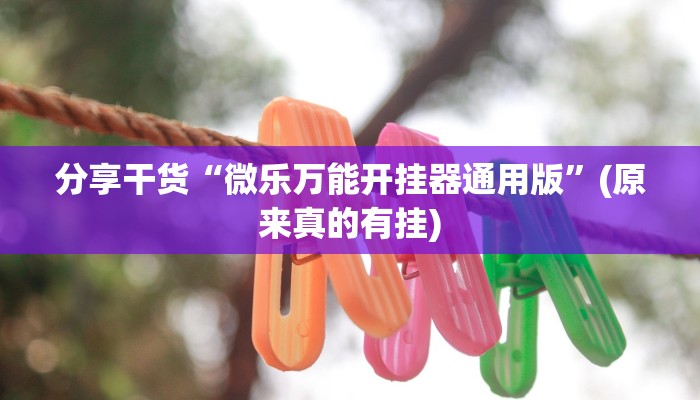 分享干货“微乐万能开挂器通用版”(原来真的有挂)