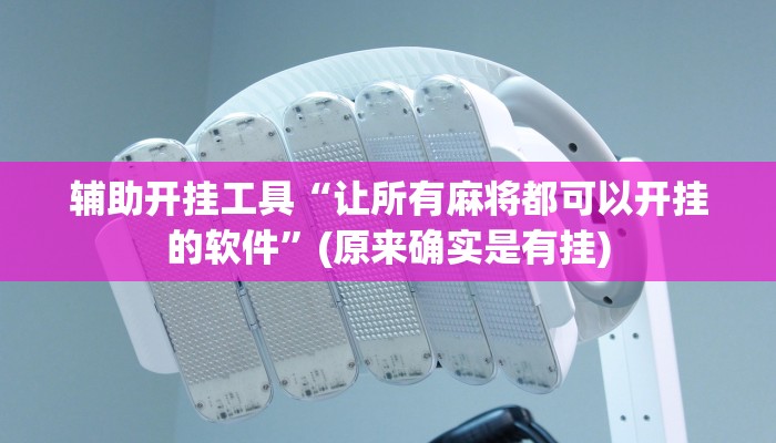 辅助开挂工具“让所有麻将都可以开挂的软件”(原来确实是有挂)