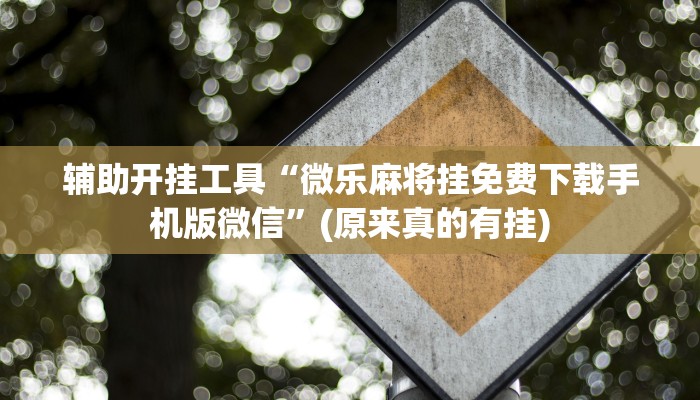 辅助开挂工具“微乐麻将挂免费下载手机版微信”(原来真的有挂)