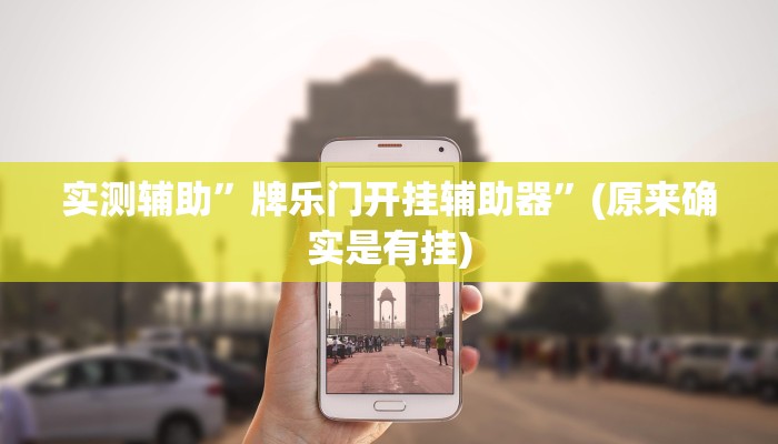 实测辅助”牌乐门开挂辅助器”(原来确实是有挂)