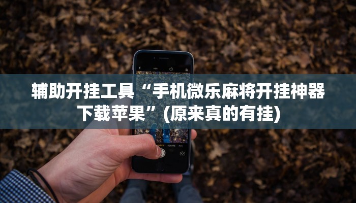 辅助开挂工具“手机微乐麻将开挂神器下载苹果”(原来真的有挂)